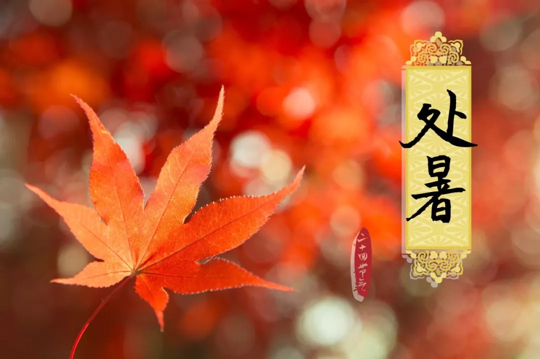 今日【处暑】请收下来自拉斐尔的一份温馨小贴士！