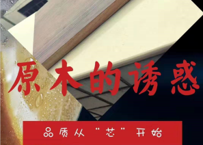 11月拉斐尔隆重推出新品 “原木诱惑”——实木芯系列